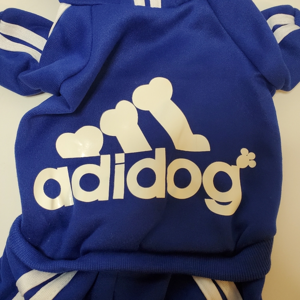 Blue Adidog Hoodie Outfit for dogs.